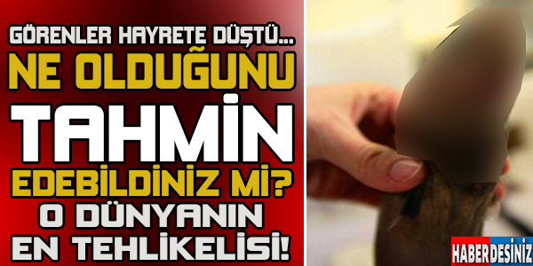 O dünyanın en tehlikelisi