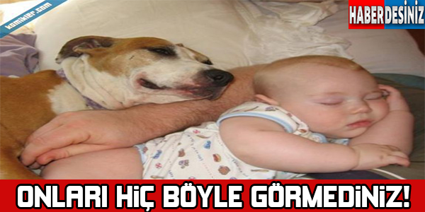 Onları hiç böyle görmediniz!