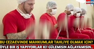 Cezaevinde Mahkumlar Tahliye Olmak İçin Öyle Bir İş Yapıyorlar Ki ! Şaşkın Kalacaksınız...