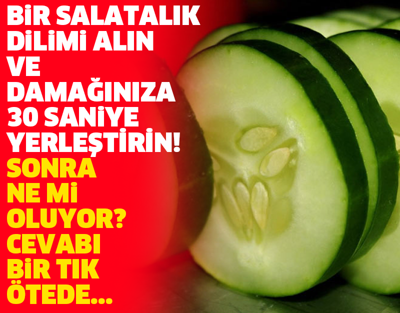 BİR SALATALIK DİLİMİ ALIN VE DAMAĞINIZA 30 SANİYE YERLEŞTİRİN! SONRA NE Mİ OLUYOR? CEVABI BİR TIK ÖTEDE...