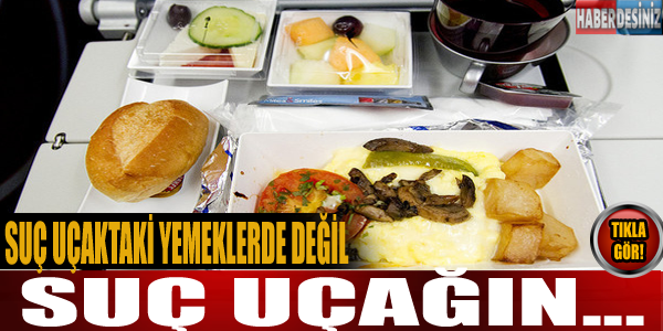 Suç Uçaktaki yemekte değil suç,Uçağın...