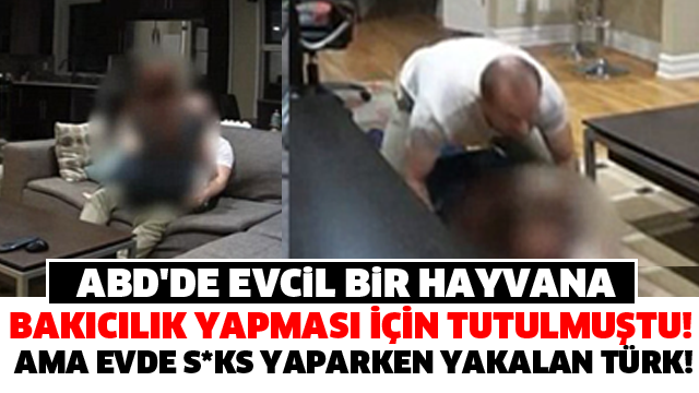 ABD'DE EVCİL BİR HAYVANA BAKICILIK YAPMASI İÇİN TUTULMUŞTU! AMA EVDE S*KS YAPARKEN YAKALAN TÜRK!