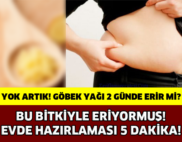 Yok Artık! Göbek Yağları Bu Bitkiyle İki Günde Eriyor...