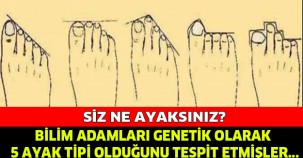 BİLİM ADAMLARI GENETİK OLARAK 5 AYAK TİPİ OLDUĞUNU TESPİT ETMİŞLER... PEKİ YA SİZ HANGİ AYAKSINIZ?