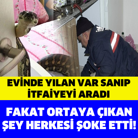 EVİNDE YILAN VAR SANIP İTFAİYEYİ ARADI AMA ORTAYA ÇIKAN ŞEY HERKESİ ŞOKE ETTİ!