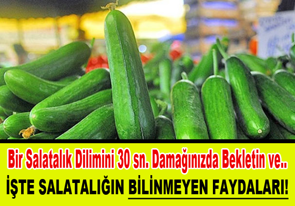 BİR SALATALIK DİLİMİNİ 30 SANİYE DAMAĞINIZDA BEKLETİN VE... İŞTE BİLİNMEYEN FAYDALARI..!