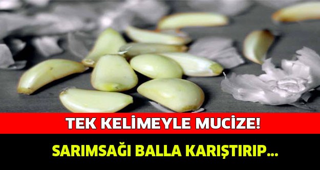 TEK KELİMEYLE MUCİZE! SARIMSAĞI BALLA KARIŞTIRIP...