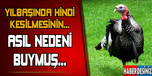 Yılbaşında neden hindi kesilir