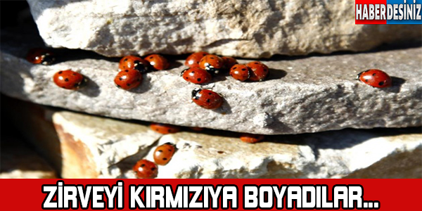 Zirveyi kırmızı'ya boyadılar !