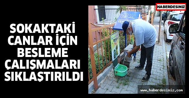 SOKAKTAKİ CANLAR İÇİN BESLEME ÇALIŞMALARI SIKLAŞTIRILDI