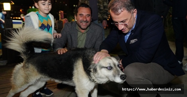 Mehmet Murat Çalık: "Belediyeler ve Vatandaşlar Bilinmezliğe Sürüklendi!"