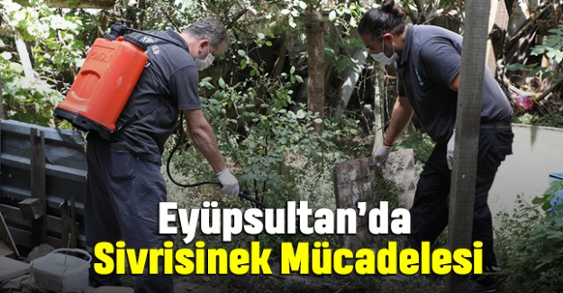 Eyüpsultan’da Sivrisinek Mücadelesi