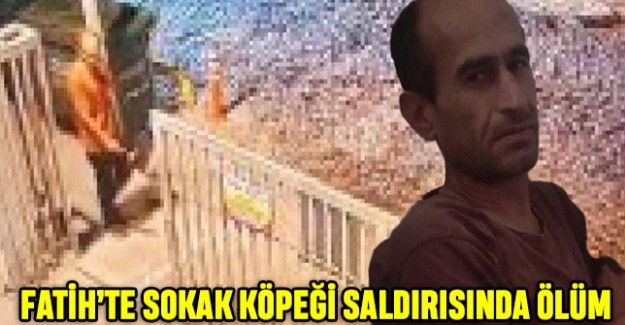 Fatih'te Sokak Köpeği Saldırısında Ölüm