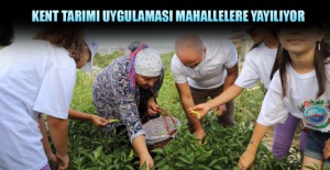 Kent tarımı uygulaması mahallelere yayılıyor