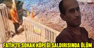 Fatih'te Sokak Köpeği Saldırısında Ölüm