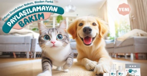 Yeni Pet Love Kedi Kumu Kedi Sahiplerini Sevindirdi